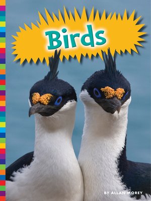 Birds - ebook